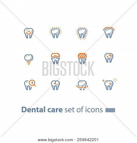 Dental Care, Prevention Check Up, Stomatology Services, Smiling Tooth, Implant And Crown, Vector Lin