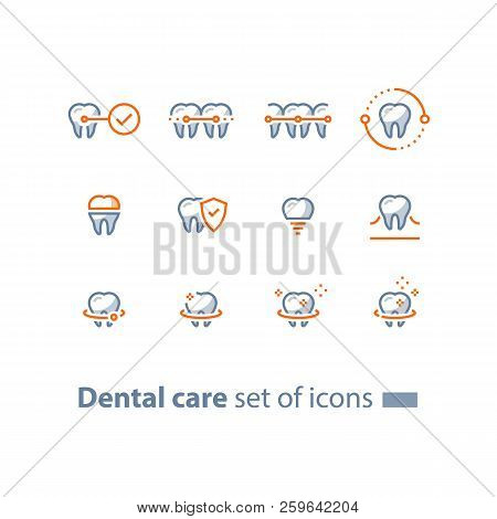 Dental Care, Prevention Check Up, Stomatology Services, Teeth Braces,  Cleaning And Whitening, Impla