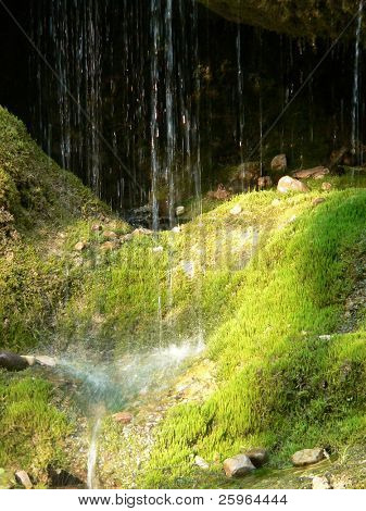 Cascada de arroyuelo en musgo