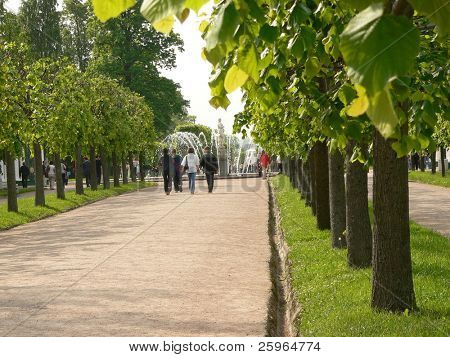 Park avenue i Peterhof, Sankt Petersburg, Ryssland.