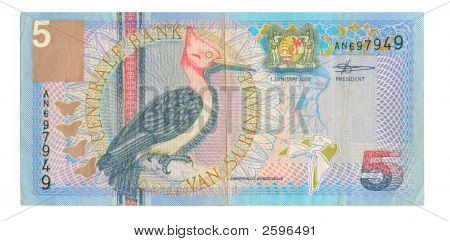 5 Gulden Bill Surinamu, 2000