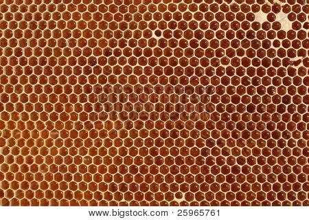 Makro honeycell