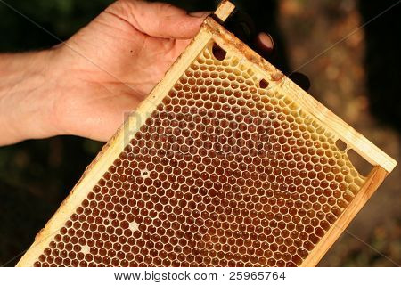 Makro honeycell