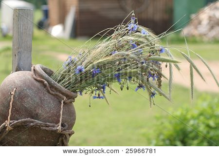 Lettiske traditionelle sammensætning - lerkrukke med kornblomster