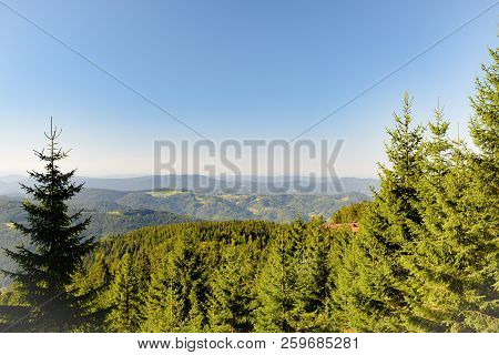 Beautiful Black Forest In Germany Baden Wuerttemberg