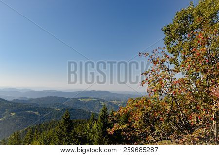 Beautiful Black Forest In Germany Baden Wuerttemberg