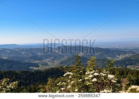 Beautiful Black Forest In Germany Baden Wuerttemberg