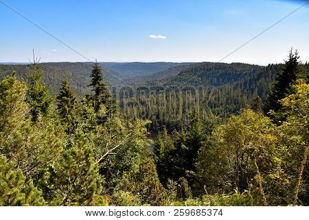 Beautiful Black Forest In Germany Baden Wuerttemberg
