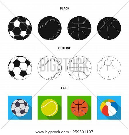 Vector Illustration Of Sport And Ball Symbol. Set Of Sport And Athletic Vector Icon For Stock.