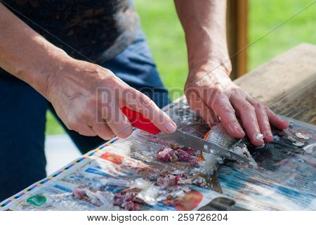 A Woman Is Cleaning Fish On A Newspaper.