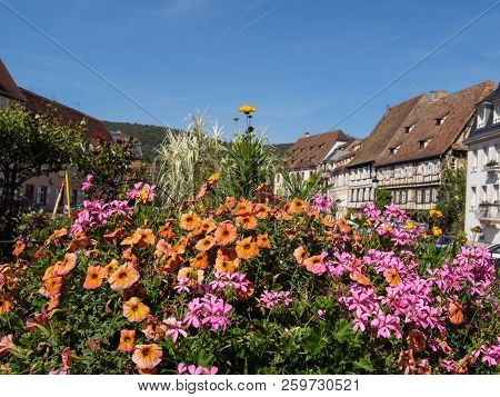 the City of wissembourg in the French alsace