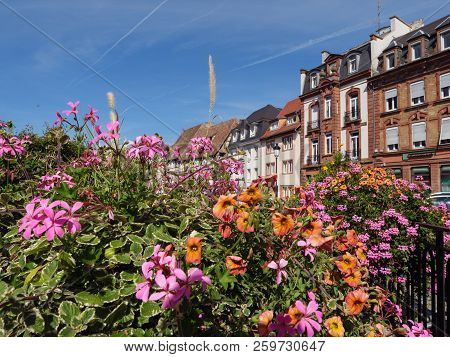 the City of wissembourg in the French alsace