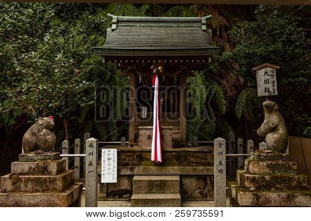 Kyoto, Japan - 08 Feb 2018: Two Mice Statues And Shrine On Otoyo Jinja Shrine Of Kyoto