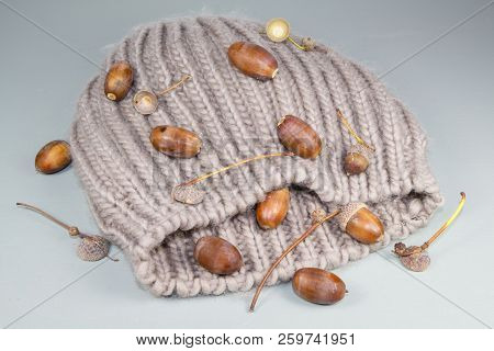 Acorns And Cupules On A Woolen Beige Beanie In Autumn