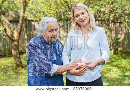 Happy Woman Expecting A Baby, Holding Pregnancy Test, Spending Time With Future Great-grandmother