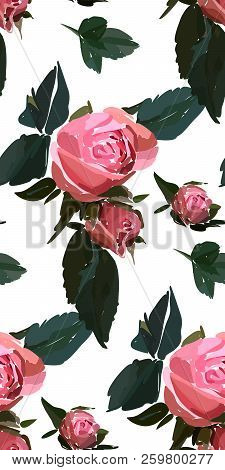 Floral Seamless Background Pattern. Watercolor Pink Garden Roses In Hand Drawn Style. Elegant Flower