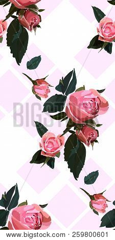 Floral Seamless Background Patternwith Gride. Watercolor Pink Garden Roses In Hand Drawn Style. Eleg