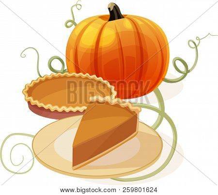 Pumpkin With Whole Pie And Slice On Plate. Isolated Vector Illustration.