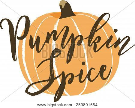 Sketchy Style Pumpkin Illustration With Pumpkin Spice In Brush Lettering. Isolated Vector.