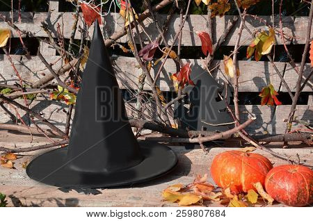 Hat Of Witch On With A Pumpkin For Halloween