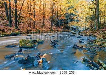 Wild River Doubrava, Autumn Landscape