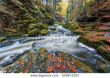 Wild River Doubrava, Autumn Landscape
