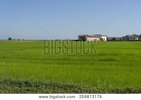 Countryside Along The Road From Lignana To Ronsecco, Near Vercelli, Piedmont, Italy, At Summer