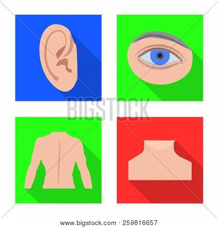 Vector Illustration Of Human And Part Icon. Collection Of Human And Woman Stock Symbol For Web.