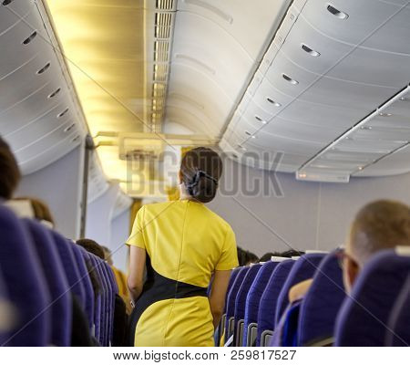 Flying Attendants ,air Hostess