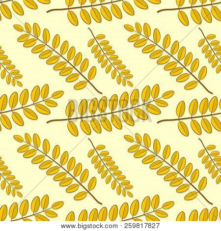 Seamless Pattern With Acacia Autumn Leaves. Vector Illustration.