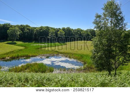 Charming Pond In The Picturesque Park At Malcantone Valley On Switzerland