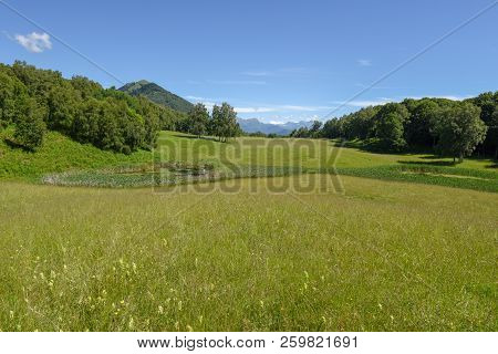Charming Pond In The Picturesque Park At Malcantone Valley On Switzerland