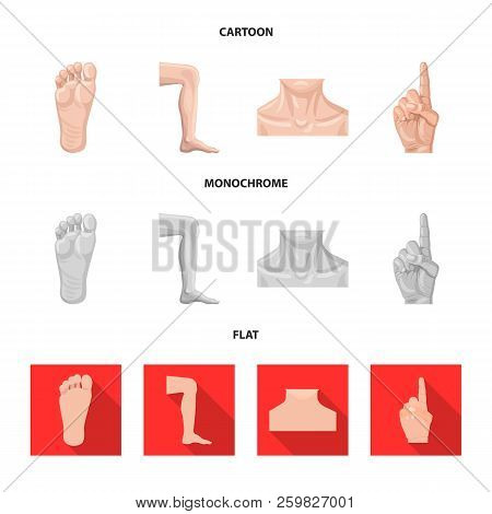 Isolated Object Of Human And Part Logo. Set Of Human And Woman Stock Symbol For Web.