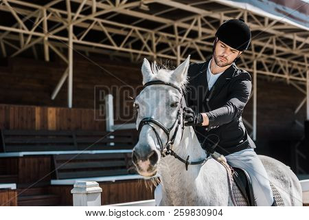 Handsome Male Equestrian Riding And Palming Horse At Horse Club