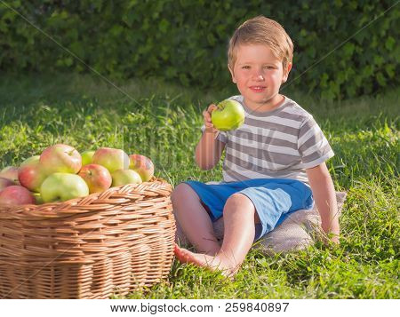 Cute Kid Eating Fruits Outdoor. Fruit Garned. Basket Full Of Ripe Appels.