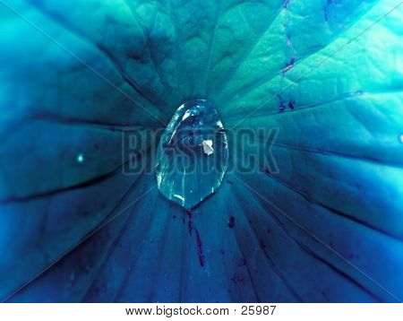 Blau Leaf Drop