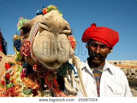头上野生动物园-骆驼的沙漠，印度