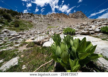 Twenty Lakes Basin Loop Hike, A Popular Backpacking Route, In The Eastern Sierra Nevada Mountains Of