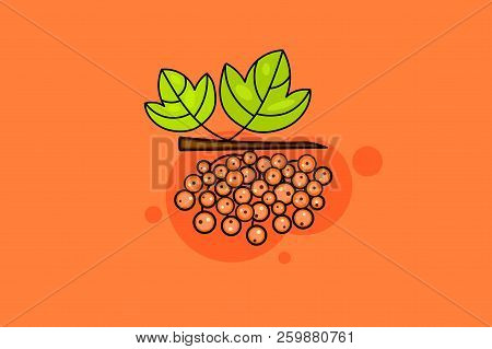 Kalina Fruit Branch Sketch With Red Berry And Green Leaf.