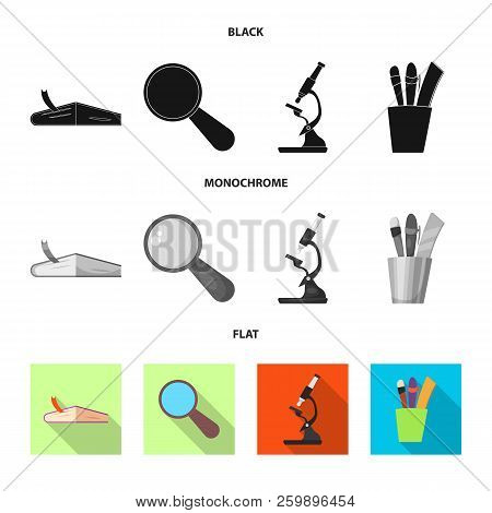 Vector Illustration Of Education And Learning Logo. Set Of Education And School Vector Icon For Stoc