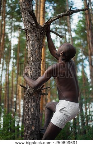 Male Black With No Shirt Climbs A Tree