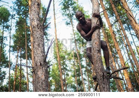 Male Black With No Shirt Climbs A Tree