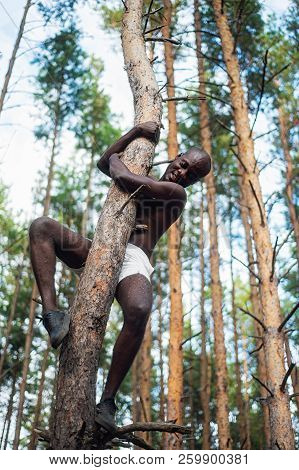 Male Black With No Shirt Climbs A Tree