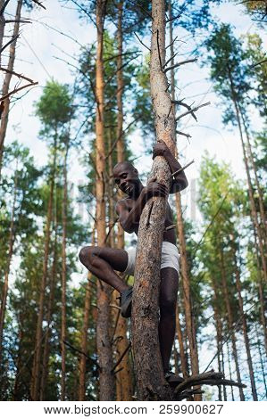 Male Black With No Shirt Climbs A Tree