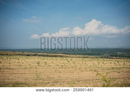Summer Landscape With Fields, Meadows And Cloudy Sky