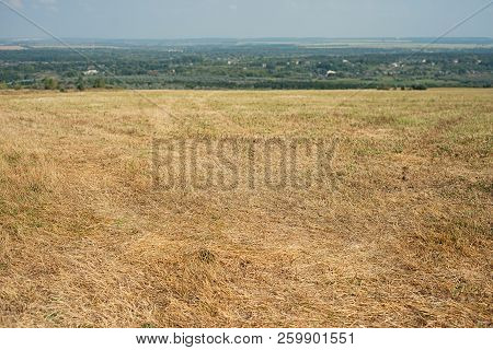 Summer Landscape With Fields, Meadows And Cloudy Sky