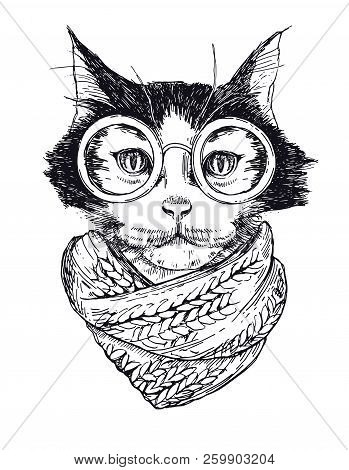 Vector Funny Smart Intelligent Cat In Glasses Closeup. Portrait Cool Hipster Cat In A Winter Scarf. 