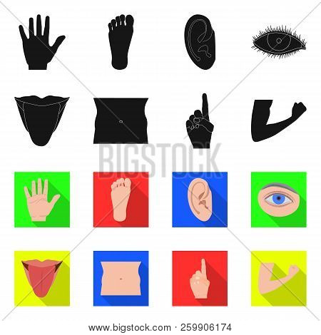 Vector Design Of Human And Part Symbol. Set Of Human And Woman Vector Icon For Stock.