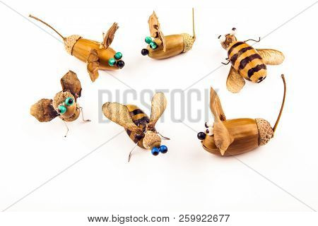 Acorn Handmade Bee Mouse White Background Studio Quality