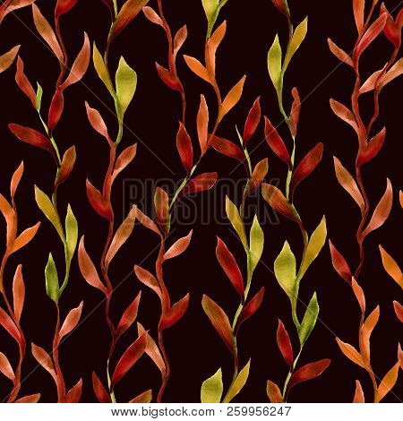 Simlpe Seamless Seaweed Pattern. Abstract Watercolor Free Hand Drawn Illustration For Wrapping, Back